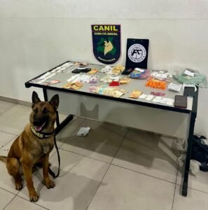 Polícia Militar prende indivíduo por tráfico de drogas em Bragança Paulista.