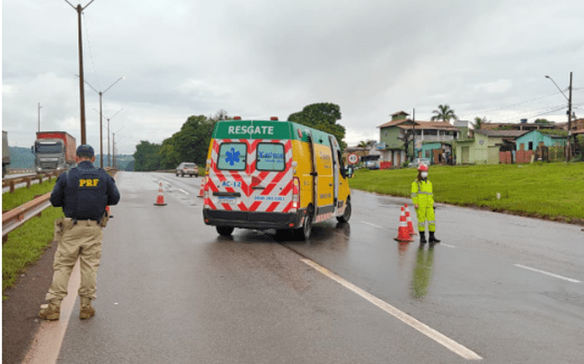 atropelado na rodovia Fernão Dias (BR-381)