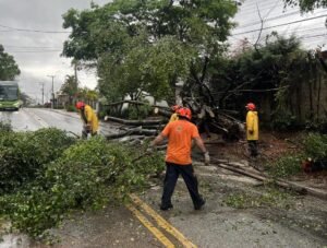 Após a tempestade em Atibaia