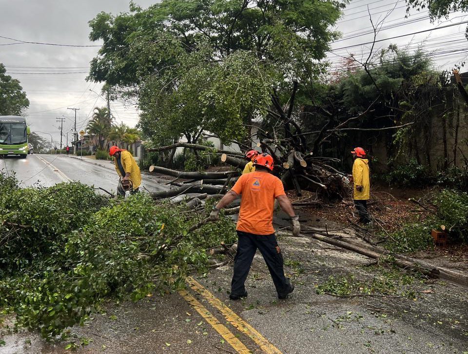 Após a tempestade em Atibaia