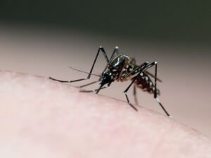 Prefeitura de Atibaia reforça ações de combate à dengue