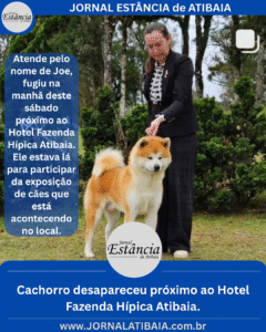 Cachorro desapareceu próximo ao Hotel Fazenda Hípica Atibaia.