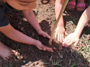 Projeto Plantando o Futuro em Atibaia