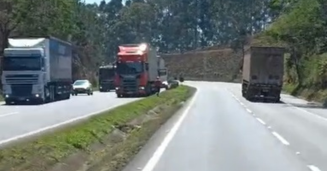 Atropelamento de animal provoca interdição parcial da Fernão Dias, em Extrema.