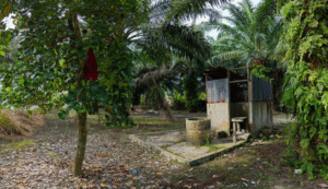 Ausência de banheiros ressalta desigualdade e coloca milhões em situações de risco no Brasil