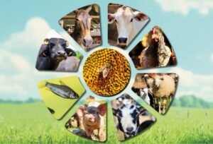 Prefeitura de Atibaia, Secretaria de Agricultura