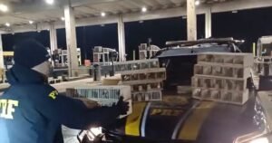 Homem foi detido pela sexta vez pela PRF por tráfico de animais silvestres, na Fernão Dias.