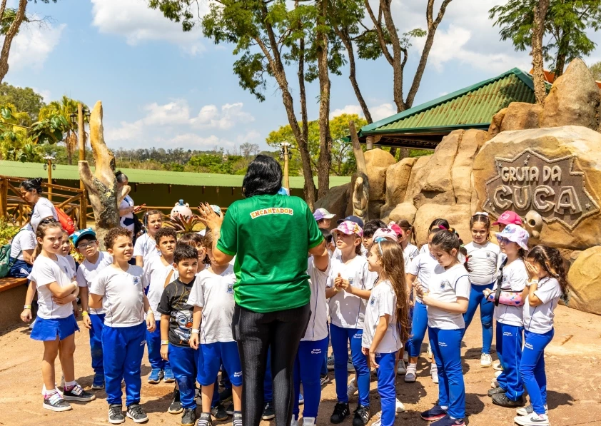 Sítio do Picapau Amarelo