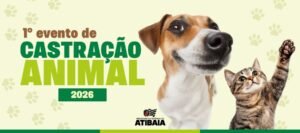 castração em Atibaia