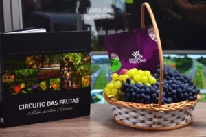 Livro Circuito das Frutas