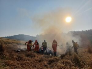 Município do interior de SP apresenta resultados positivos de estratégia integrada de manejo do fogo