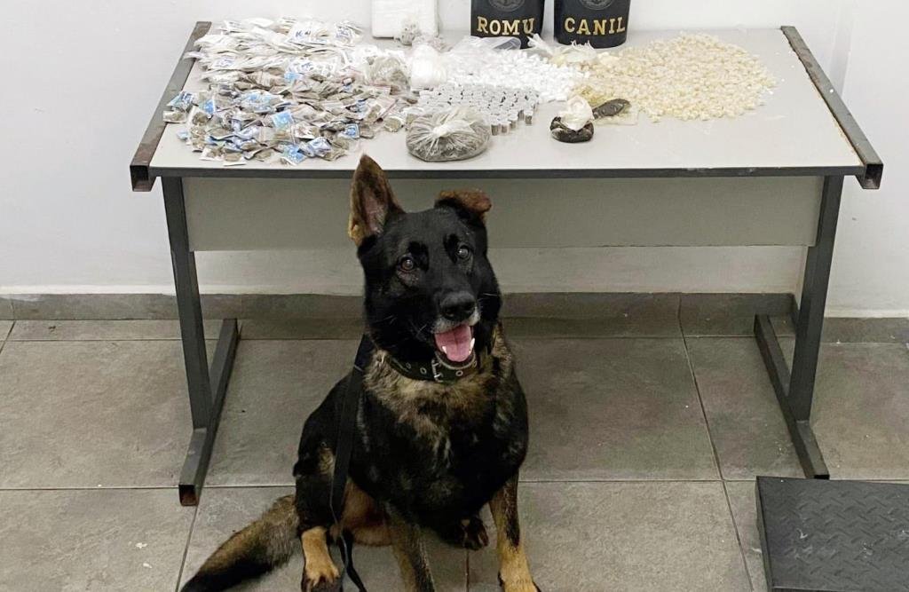 Canil e ROMU, da GCM de Atibaia