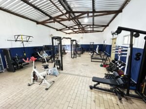 Academia do Elefantão