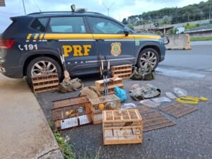 Polícia Rodoviária Federal (PRF) rodovia Fernão Dias (BR-381) em Atibaia