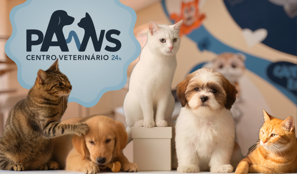 PAWS: Centro Veterinário 24h em Atibaia