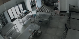 Homem e preso por furto a residências e estabelecimentos comerciais na Avenida Lucas Nogueira Garcez, em Atibaia