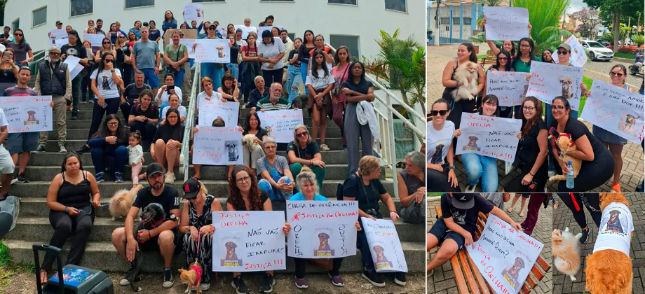 Manifestação por justiça pelo cachorro Orelha, em Atibaia