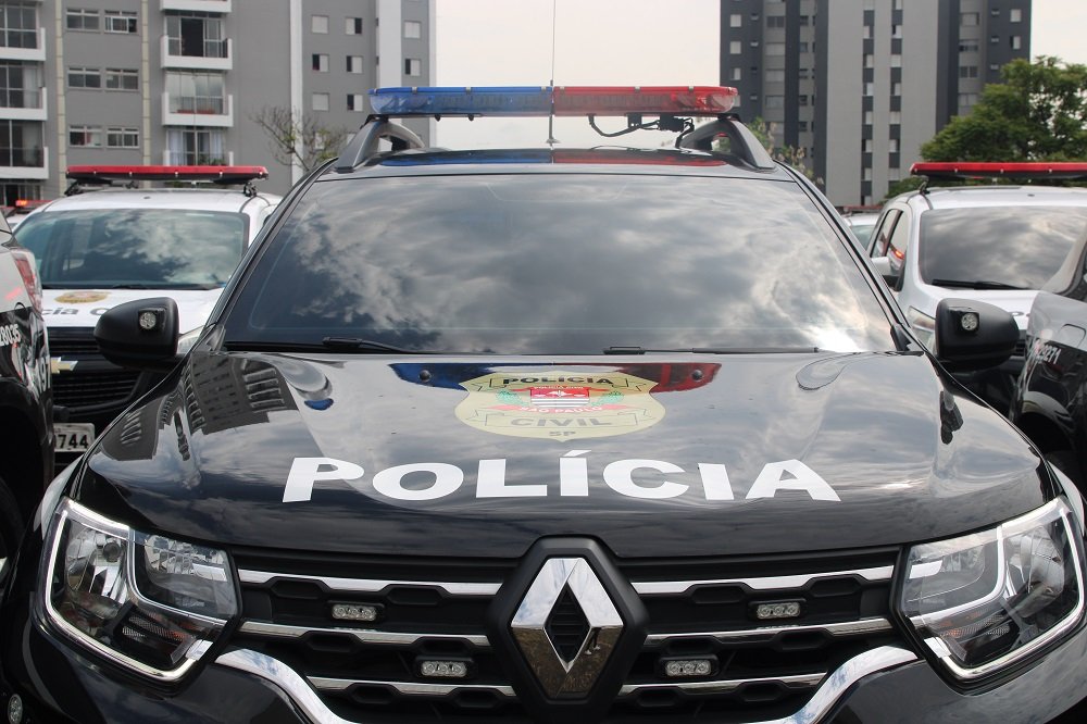 Policia Civil, Damas de Ferro II