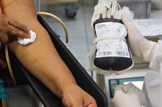 CORREÇÃO DE SANGUE: coleta de sangue