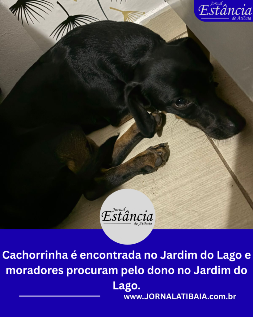 Cachorrinha é encontrada no Jardim do Lago