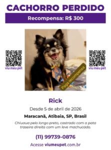 CACHORRO DESAPARECIDO