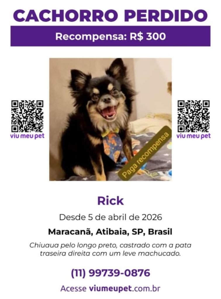 CACHORRO DESAPARECIDO