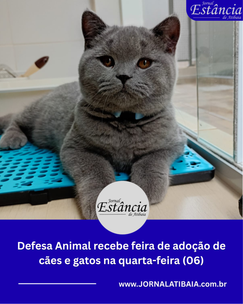 feira de adoção de cães e gatos em Atibaia