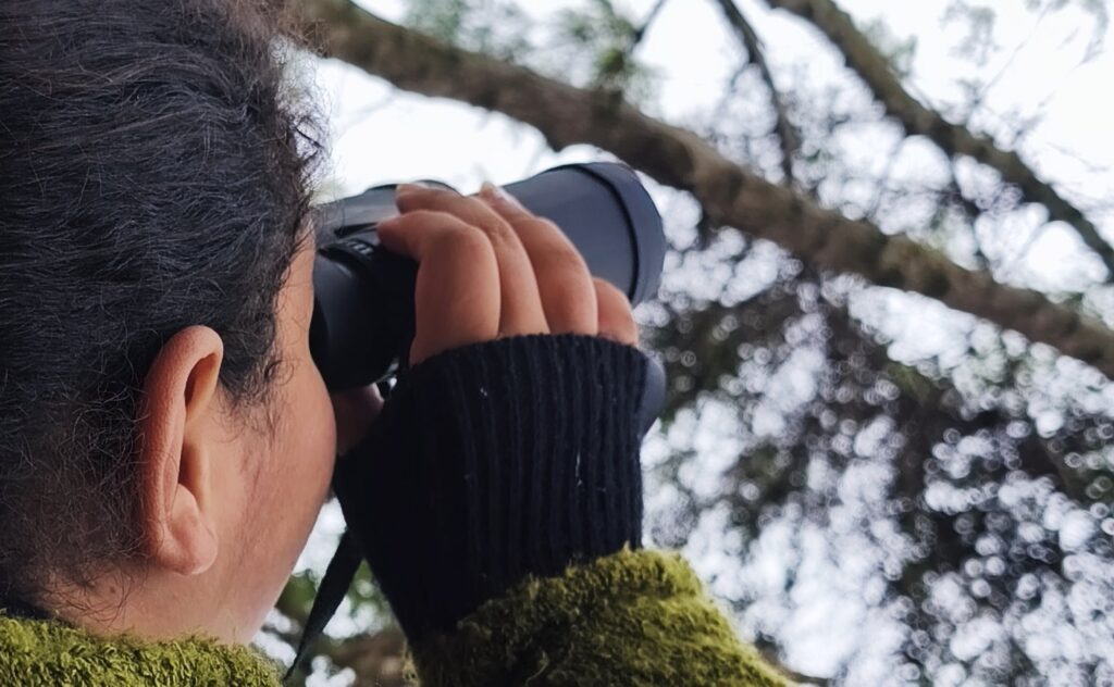 Alunos da rede municipal participam de atividade de observação de aves na Semana do Meio Ambiente