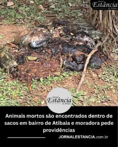 Animais mortos são encontrados dentro de sacos em bairro de Atibaia