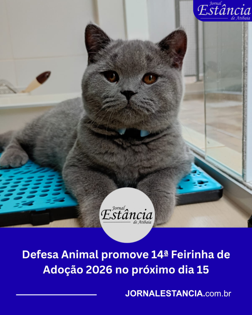 Defesa Animal Feirinha de Adoção caes e gatos