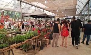 Festival da Família, Música e Morango em Atibaia