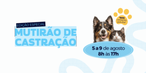 Mutirão de Castração em Atibaia