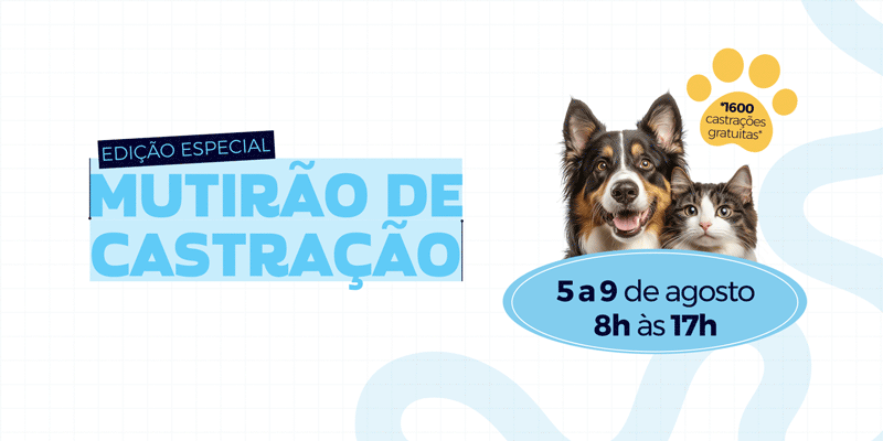 Mutirão de Castração em Atibaia