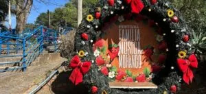 Festival da Família, Música e Morango
