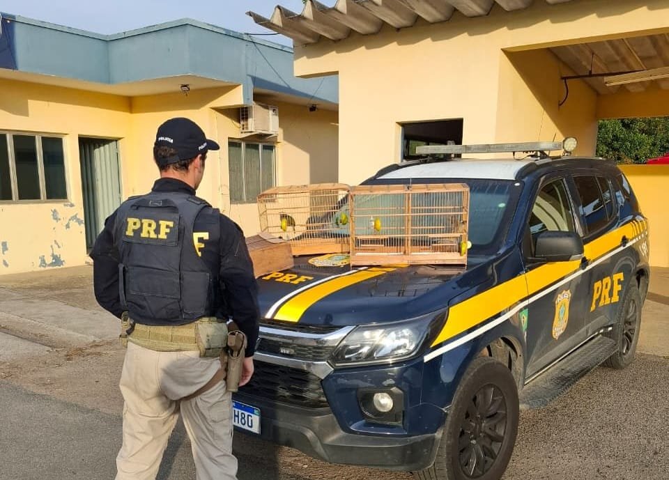 Polícia Rodoviária Federal (PRF) na rodovia Fernão Dias (BR-381) em Atibaia