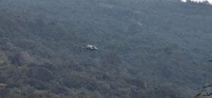 Helicóptero é acionado após turista sofrer acidente na Pedra Grande