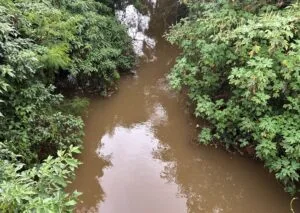 Rio Atibaia