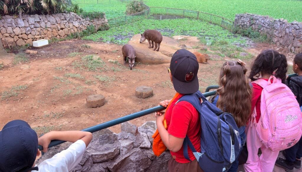 Secretaria de Educação de Atibaia - Zoológico de São Paulo