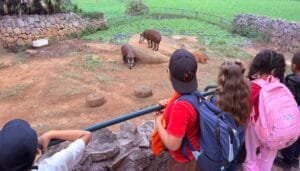 Secretaria de Educação de Atibaia - Zoológico de São Paulo