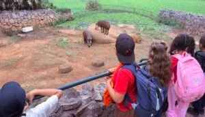 Secretaria de Educação de Atibaia - Zoológico de São Paulo