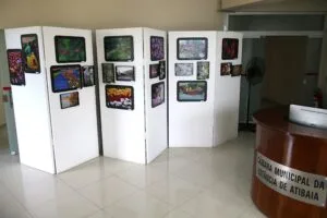 Fotógrafo de Atibaia, Flavio Pileggi