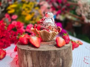 Festa de Flores e Morangos de Atibaia