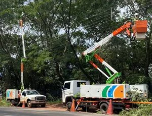Atibaia-a-Neoenergia-Elektro-pode-de-arvore