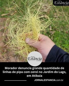 Morador denuncia grande quantidade de linhas de pipa com cerol no Jardim do Lago, em Atibaia