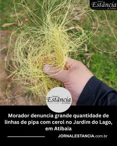 Morador denuncia grande quantidade de linhas de pipa com cerol no Jardim do Lago, em Atibaia